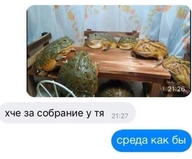легущька среда среда_как_бы че_за_собрание_у_тебя // 1238x1028 // 242KB