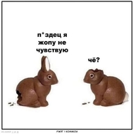lowres безмозглый всрато жвотне жопа откусил откусили_голову пиздец пиздец_я_жопу_не_чувствую смехуёчки у_тебя_её_нет уши шоколад шоколадный_заяц што я_жопу_не_чувствую я_не_чувствую_жопу язык:русский // 500x500 // 19KB