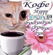 ))) бум_бум_бум всрато жвотне коллаж коллаж_лица кот кофе кружка мур постирония пуп сердечко смехуёчки сюрреализм фотожаба фоторобот цветы язык:русский // 811x835 // 220KB