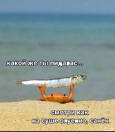 александр водичка держит жвотне какой_же_ты_пидорас краб мат море рыба смехуёчки смотри_как_на_суше_охуенно_санёк суша троллинг язык:русский // 640x737 // 128KB