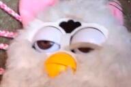 furby lowres взгляд всрато заёб игрушка прикрытые_глаза // 590x392 // 46KB