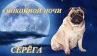 мопс нужен_алиас серега собакен спокойной_ночи // 600x348 // 33KB