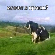 why депрессия жвотне зодумолся корова кринж может_я_кринж почему смехуёчки смотрит_в_даль // 600x600 // 48KB