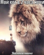 2_часа_ночи в_2_часа_ночи всрато дай_пожрать долбоебизм жвотне кот лев мужик_сидит надпись насыпеш_пшена огромный пшено размер_не_главное смехуёчки смотрят_друг_на_друга я язык:русский // 520x650 // 65KB