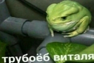 виталя водопровод долбоебизм жвотне легущька листья на_трубе сидит сидит_на_трубе смехуёчки труба трубоёб_виталя // 735x493 // 31KB