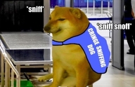 cringe_sniffing_dog sniff аэропорт смехуёчки собакен чимса // 637x411 // 86KB