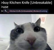 broken buy kitchen_knife look_inside unbreakable unbrekable use ахуй жвотне кот кухонный_нож нож откуда:project_zomboid поломка рожа смехуёчки терпим што язык:английский // 600x550 // 39KB
