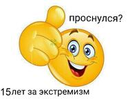 15_лет_за_экстремизм fuck_you всрато палец_вверх проснулся смайлики смехуёчки экстремизм // 500x375 // 23KB