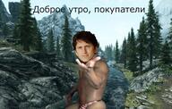 bethesda skyrim беседка доброе_утро личность:тодд_говард откуда:the_elder_scrolls пидорасы_сэр покупатели рикардо_милос слыш_купи смехуёчки // 596x380 // 133KB
