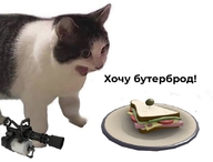 бутерброд жвотне кот оружие открытый_рот откуда:team_fortress персонаж:heavy_(team_fortress) пулемёт смехуёчки сэндвич тарелка хочу_бутерброд ыгры язык:русский // 640x487 // 69KB
