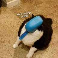 в_совке жвотне как_же_хорошо как_же_хорошо_в_совке кот смехуёчки совок язык:русский // 700x695 // 63KB