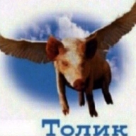 крылья летит облака свинья толик // 400x400 // 19KB